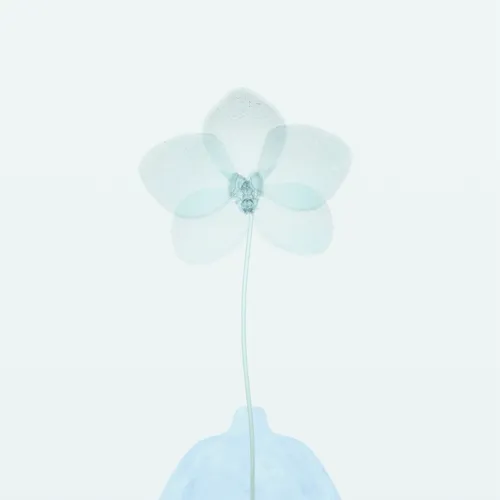 Item #111277502835220488848668857396153750557400918997543607811736850363797848719361 Media