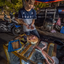016 - Snake Stall Jakarta