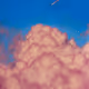 To the seventh heaven