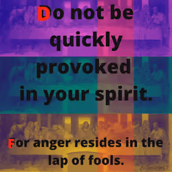 Provoke