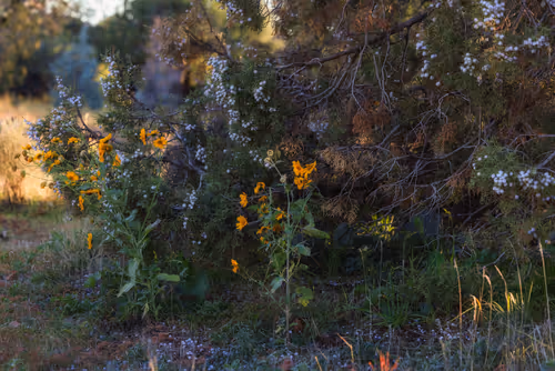 Item #113014113454188264728541176326947658447548483986811411087304535733869301727233 Media