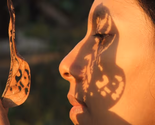 Item #25647283526560934963295738153265676028298763489837943473260237607318140747779 Media