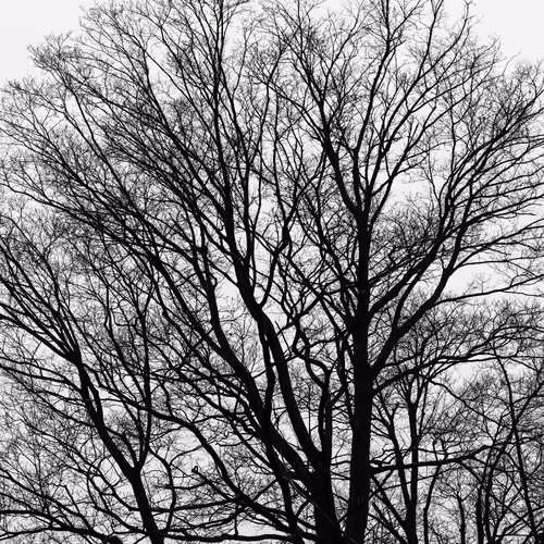 Item #35965218379738729691291467168286792303482134167127854404987491621869761593345 Media