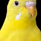 43661449155603456517764667083641901141702024297985653855174206564670170464257