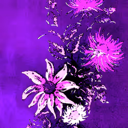 10162537437224382031479019658551907585229278444242708151782220030731255545857