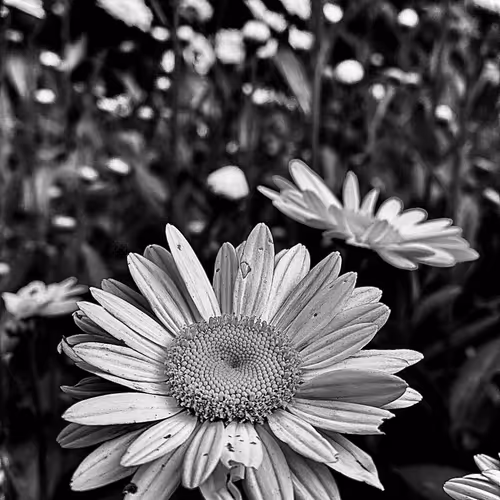 19841423673673061120678522492980359232702795421164906781459419146000277700609