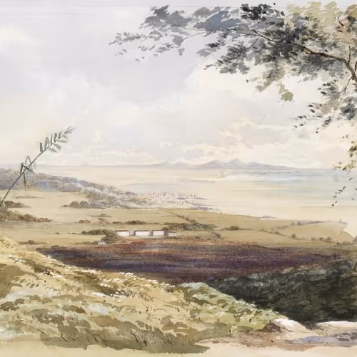 Trinbagohistoricalartcollective