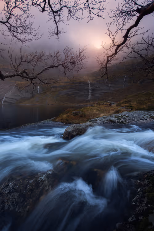 Item #70181392208351444828797858341320009028423104343210808831901440033418175840257 Media