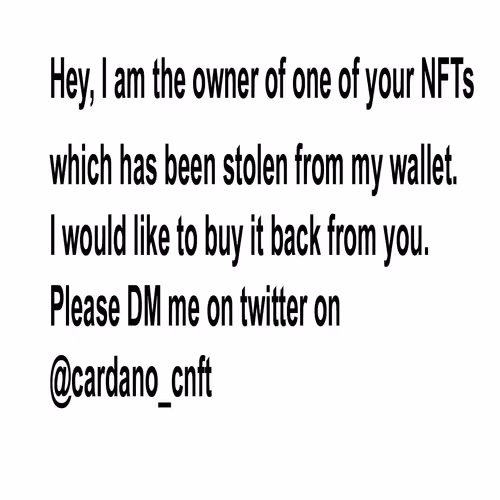 Untitled Collection #357563860