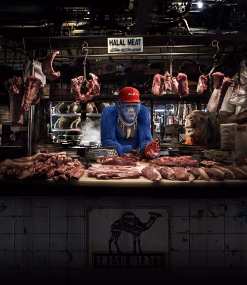 Camel Fresh Meats (Halal approved)