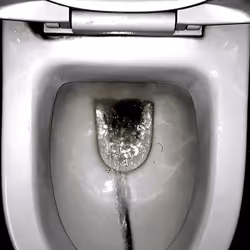 12660136923828748263426703316480839463053827608546839420335323646879388925953