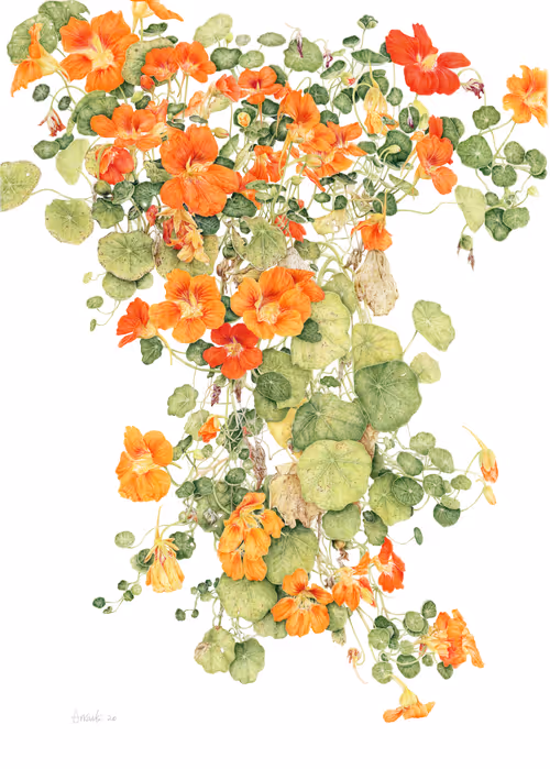 Item #113489034304621262780688231826605953110850630037048369512317058371168174604289 Media