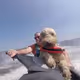jordan on a jetski