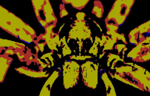 81313975714551120247643610255822812148451358109218017490489926029079557963777