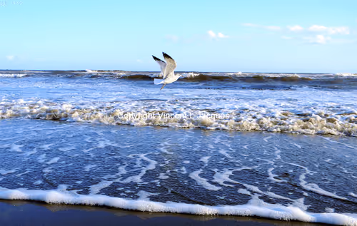 Inspiration Moves Me Brightly Collection