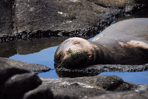 Item #82668664347853387025205030792162106913974488761724448252059371136779051597825 Media