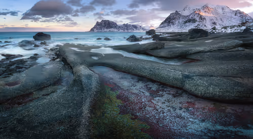 Item #28682539069684656541734828821976802711290237176293642286881478806651858321409 Media