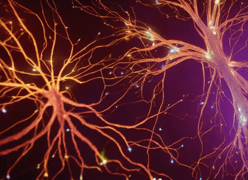 Item #98695163844141812296559601516468632585703412525772017875852753153810252169217 Media