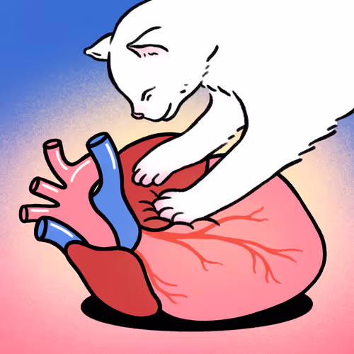 Item #100546326840938006351179611880488389822132399347808687645215853870054769688577 Media