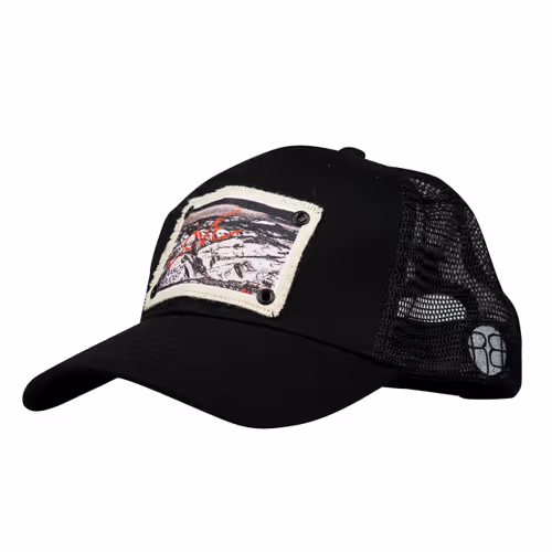 25368776040682519390983776677225528740167958372111640572942765174419215089665