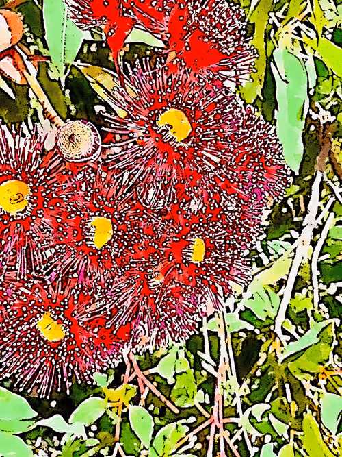 Item #23586274718377853504826207668531862457816485670593798671801516782456414404613 Media