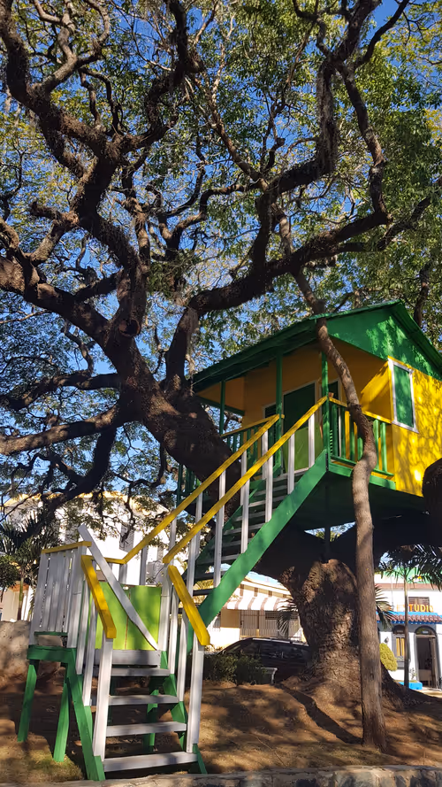 Item #113362109709365944141137886500163150931447814244950449187042120717235323404289 Media