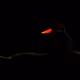 104081649840054760608329877433485728999455513440146078705847698462509765754881