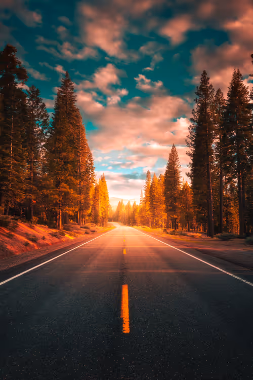 Item #62546128571173573861370652936856218284243546780344801453551937514619409530881 Media