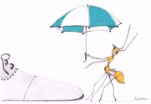 Artmandan1 Collection