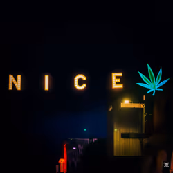 #4 "California Nice Nice"