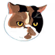 111786556601120044492276636057946844054099376185001321978821610351616138936321