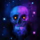 The Skull Squad