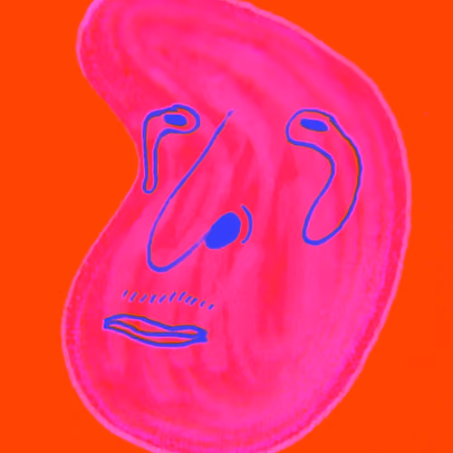 Steve.v1