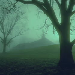 The Waking World 