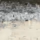 19472643132105761603099858203451806907472722513534970548065847037110838624257