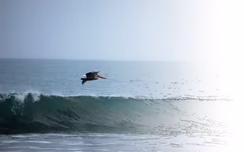 Item #70450387093937808937088555529822133981601005505803557145566361230576113942529 Media