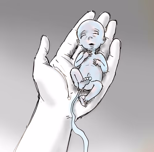 Item #85642166508490913086101457306219515623453939345975452045926807114833876484097 Media