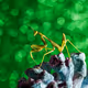 Mantis, under Green Sky