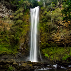Secret Falls - Frozen in Time