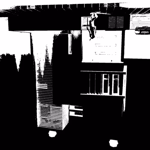 Life Mirror v1