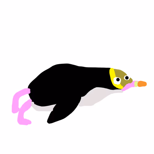 Yellow-eyed Penguin