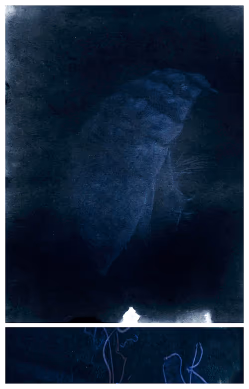 Item #109162157552346088047496633038404394118504199992061596446112929646911617499137 Media