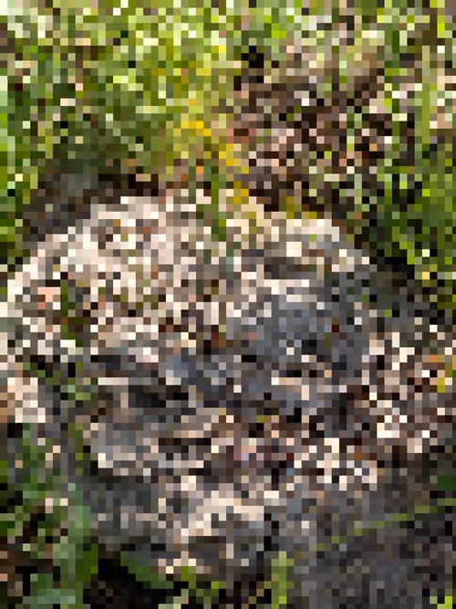 Item #2850415134272365380187775685678842410458265265709128331682257501877723725825 Media