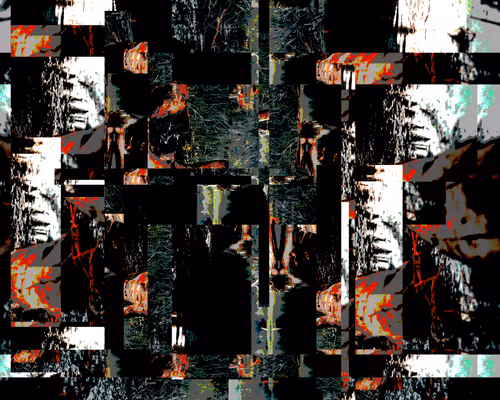 Item #107916259476164807250970753368899698568403674003143293495325882031601124114433 Media