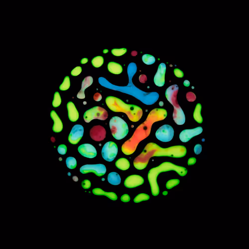 Item #39853347361311550538823328626004824816221754573894422864413753319795040714753 Media