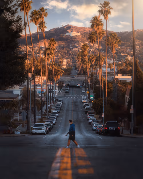 Item #50898105301689156187270630185722760964054040710391092940162900827372322291713 Media