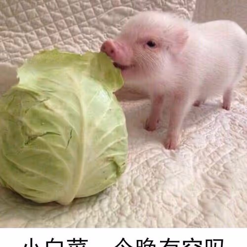 Untitled Collection #25199063