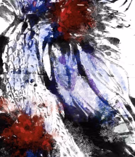 15109628307083862195489266917706031775975521141046832694219124894462499618817