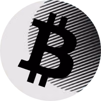 To The Moon Logo