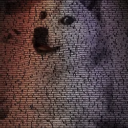 Singing Doge